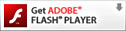FlashPlayer